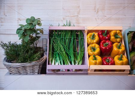 View of variuos vegetables inside the wooden boxes