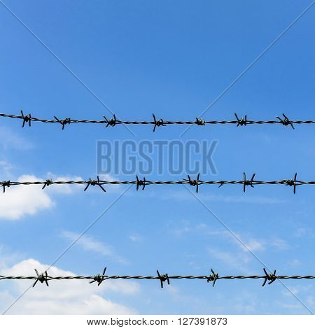Barbed wire against blue sky and clouds
** Note: Visible grain at 100%, best at smaller sizes