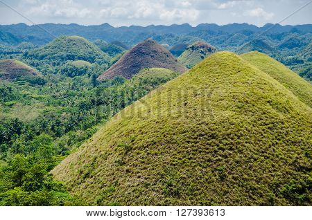 Green Chocolate Hills in summer time, Bohol Island, Philippines