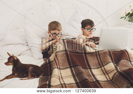 Two children, boys in parents' bed at morning with laptop and tablet. Brothers play computer games. Siblings and gadgets. Boys and pet, chiwawa or chihuahua dog. Children in glasses, poor eyesight.