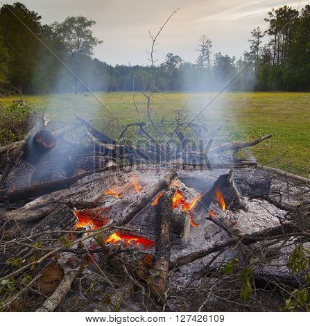 Coals that are blazing hot in a burning brush pile on a field