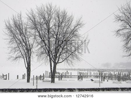 Whiteout