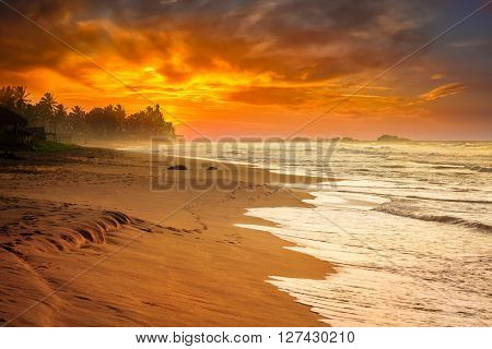 Tropical sunset on ocean beach. Sri Lanka