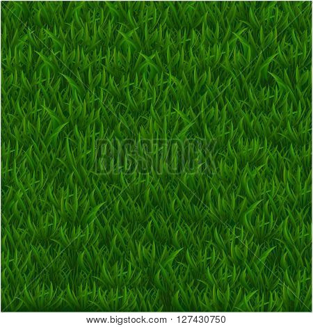 Green grass realistic textured background. Vector illustration
