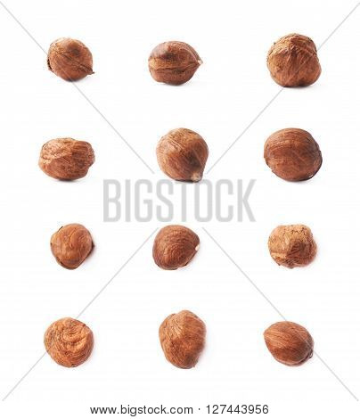 Mulitple single hazelnut nuts isolated over the white background, set of six images, each in two foreshortenings