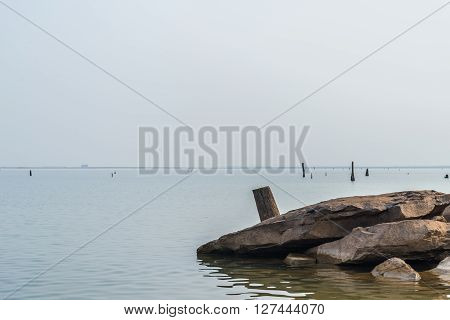 Rocks And Stumps