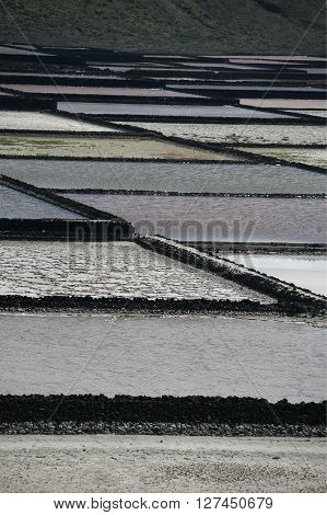 Europe Canary Islands Lanzarote