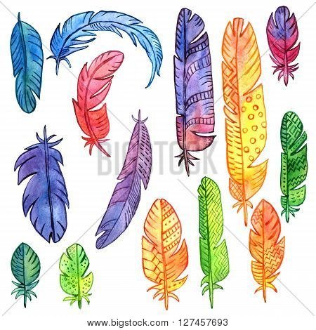 set of watercolor drawing feathers, ornate color plumelet isolated at white background, hand drawn vector elements