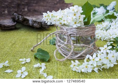 Spring still life on a background of green textiles.