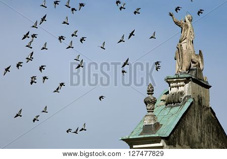 Europe Italy Lago Maggiore