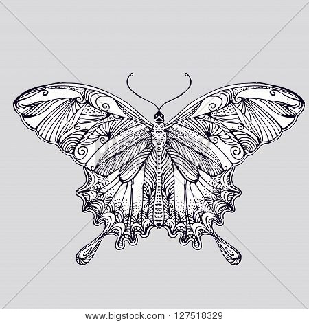 Vintage hand drawn doodle decorative fly butterfly. vector eps 10