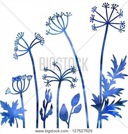 dill plants, floral composition with wild plants drawing in watercolor, drawing floral card,  watercolor artistic nature background, hand drawn illustration