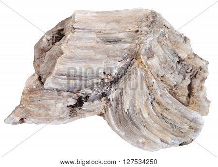 Piece Of Raw Baryte (barite) Rock Isolated