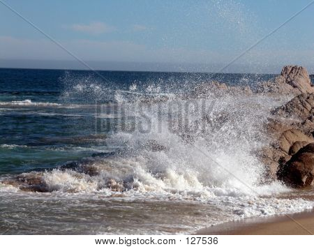 Ocean Spray