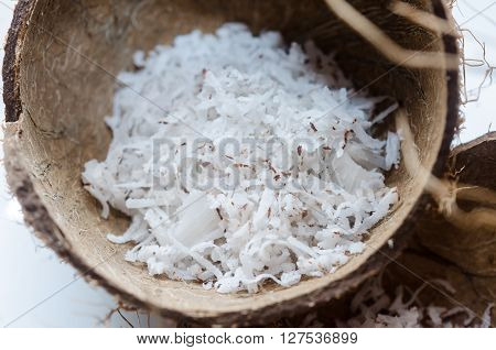 Freshly Grated Coconut