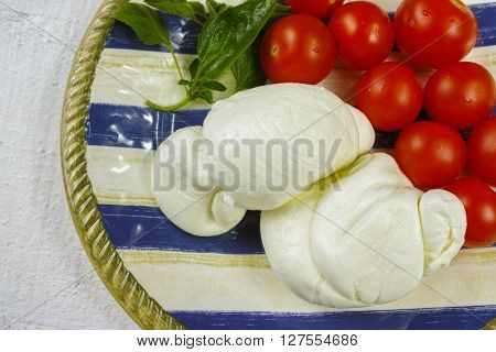 Traditional italian mozzarella buffala with tomatoes and basil on blue-white plate copy space
