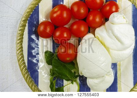 Traditional italian mozzarella buffala with tomatoes and basil on blue-white plate copy space