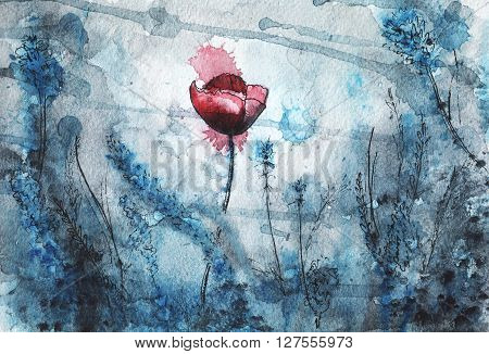 beautiful floral watercolor illustration. red poppy flower