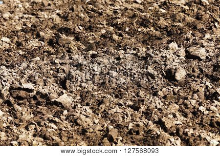A Tractor Plowed Field Agricultural Land. Spring. Sown. Close-up.