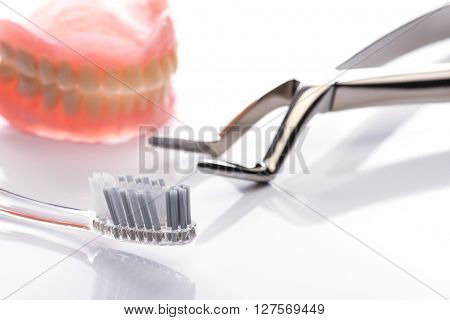Teeth Model With Toothbrush And Forceps On White Background
