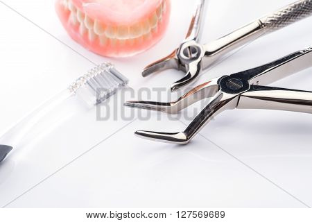 Teeth Model With Toothbrush And Forceps On White Background