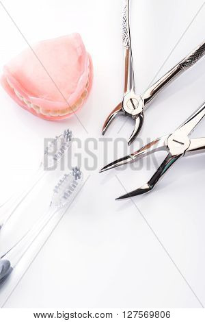 Teeth Model With Toothbrush And Forceps On White Background