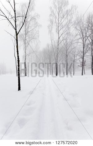 Photographed Road In The Winter. Winter, The Road Is Covered With Snow