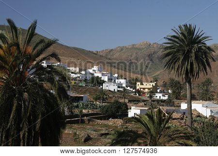 Europe Canary Islands Fuerteventura