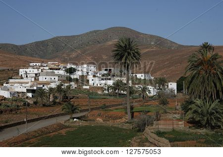 Europe Canary Islands Fuerteventura