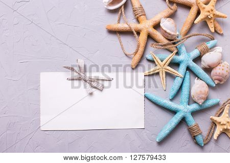 Marine items and empty tag fpr text on grey textured background. Sea objects. Selective focus. Place for text.