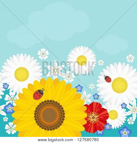 Summer background with flowers and ladybirds. Positive vector illustration.