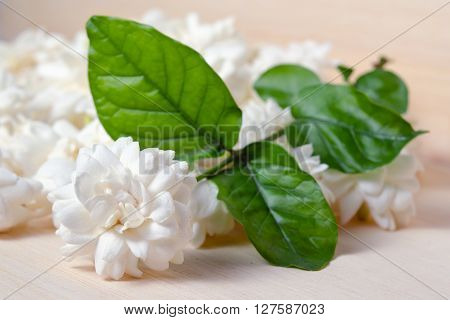 Jasmine (Other names are Jasminum Melati Jessamine Oleaceae) flowers grouped on wooden board background