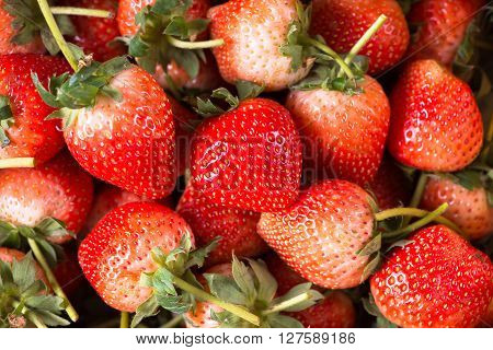 strawberry a fruit that tastes delicious. strawberry background.