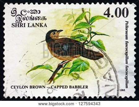 SRI LANKA - CIRCA 1993: a stamp printed in Sri Lanka shows Brown-capped Babbler Pellorneum Fuscocapillus is an Endemic Resident Breeding Bird in Sri Lanka circa 1993