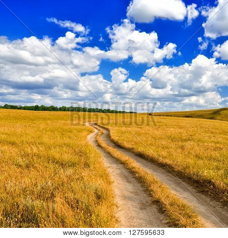 The dirt road leaves for the horizon in the picturesque steppe against the blue sky with white clouds