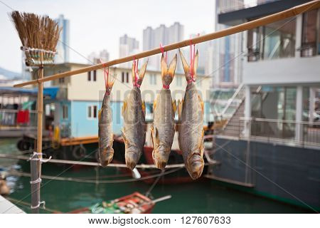 Traditional fishing trawlers in the Aberdeen bay famous floating village in Hong Kong