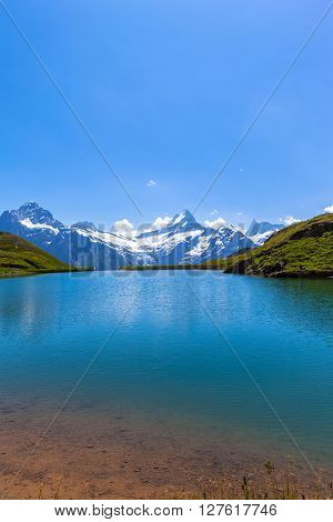 Stunning View Of Bachalpsee And The Alps