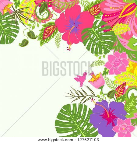 Tropical summery background