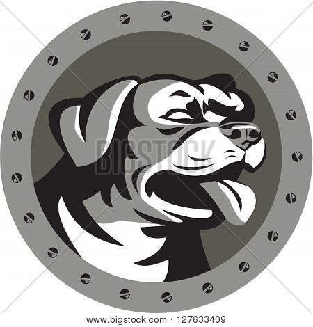 Metallic style illustration of a Rottweiler Metzgerhund mastiff-dog guard dog head looking to the side set inside circle with screws done in retro style.