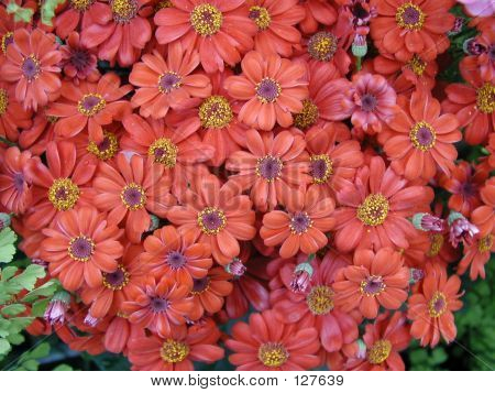 생각 하는 핑크