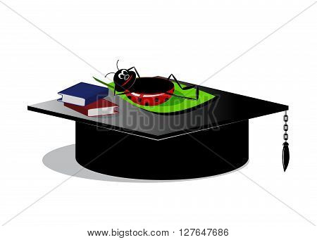 icon vacation. funny an icon, the lying beetle on a cap of the bachelor and the book
