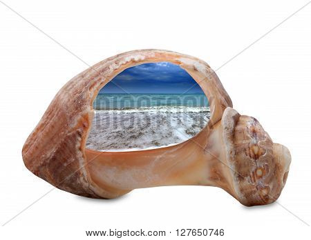 Sea beach in sun evening through broken rapana shell. Isolated on white background.