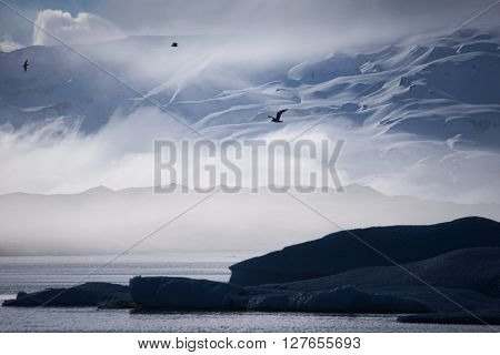 Foggy glacier lake with iceberg in front of snow-covered mountain