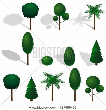 Isometric vector tree set. Isometric vector trees elements for design.