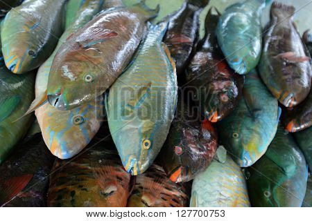 Asia Thailand Phuket Markt