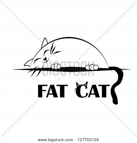 Fat cat
Lazy fat cat sleep on a shelf