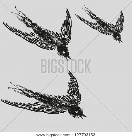 Illustration of three Common Swift in flight
Drawing black white on a gray background, a flock of swifts in flight on a hunt for decoration and design