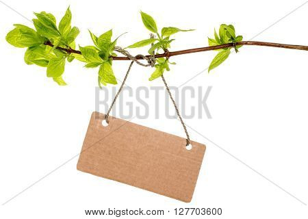 Tree branch with blank tag tied with string. Isolated on white background.