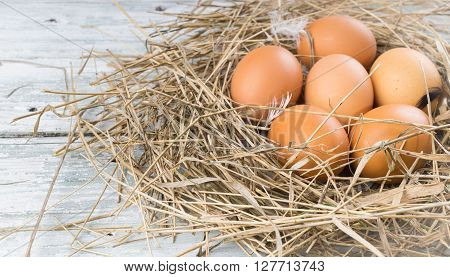 Brown eggs in hay eggs in nest hen eggs. Sackcloth and wooden background