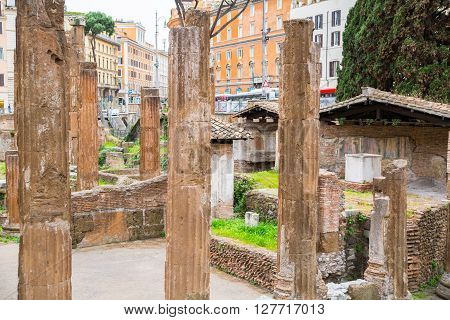 ROME, ITALY - APRIL 8, 2016: Largo di Torre Argentina square,  hosts four Republican Roman temples, and the remains of Pompey's Theatre 80 BC